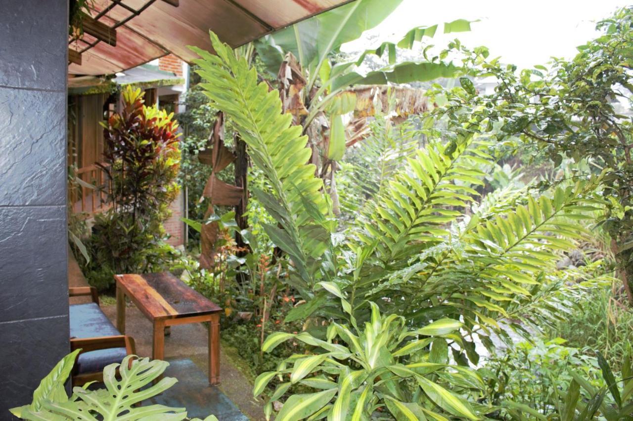 Hostal Zafiro มินโด ภายนอก รูปภาพ